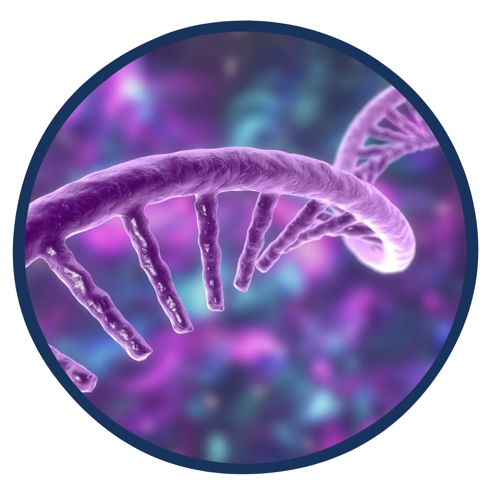 mRNA banner web
