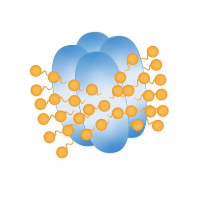 membrane protein